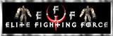 EFF-160x51.jpg (7883 bytes)