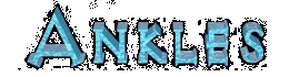 anklesname.gif (7975 bytes)