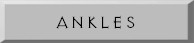 btn_ankles.jpg (2448 bytes)