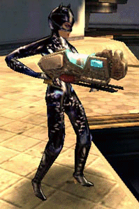 catwoman-2.gif (47706 bytes)