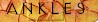 intb_anks.jpg (2439 bytes)