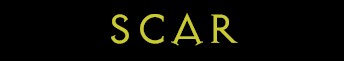 scar.jpg (3641 bytes)