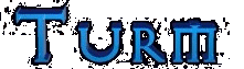 turm.gif (6090 bytes)